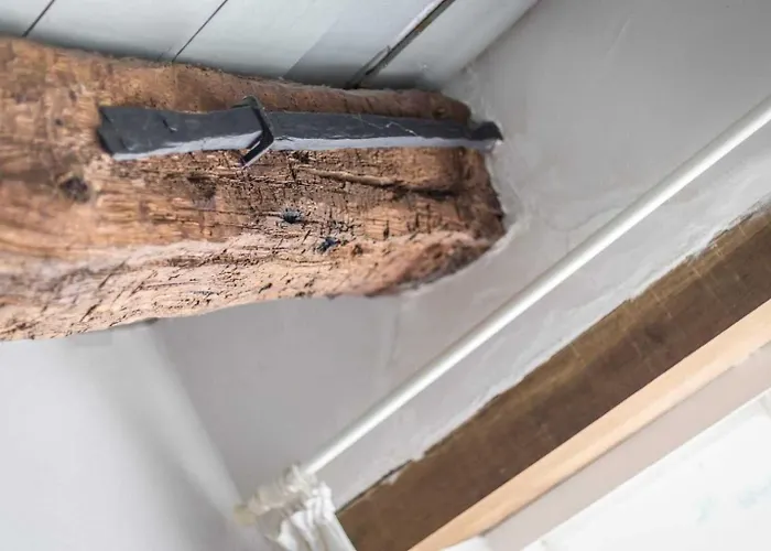 Appartement 2 Storchennest Id 384